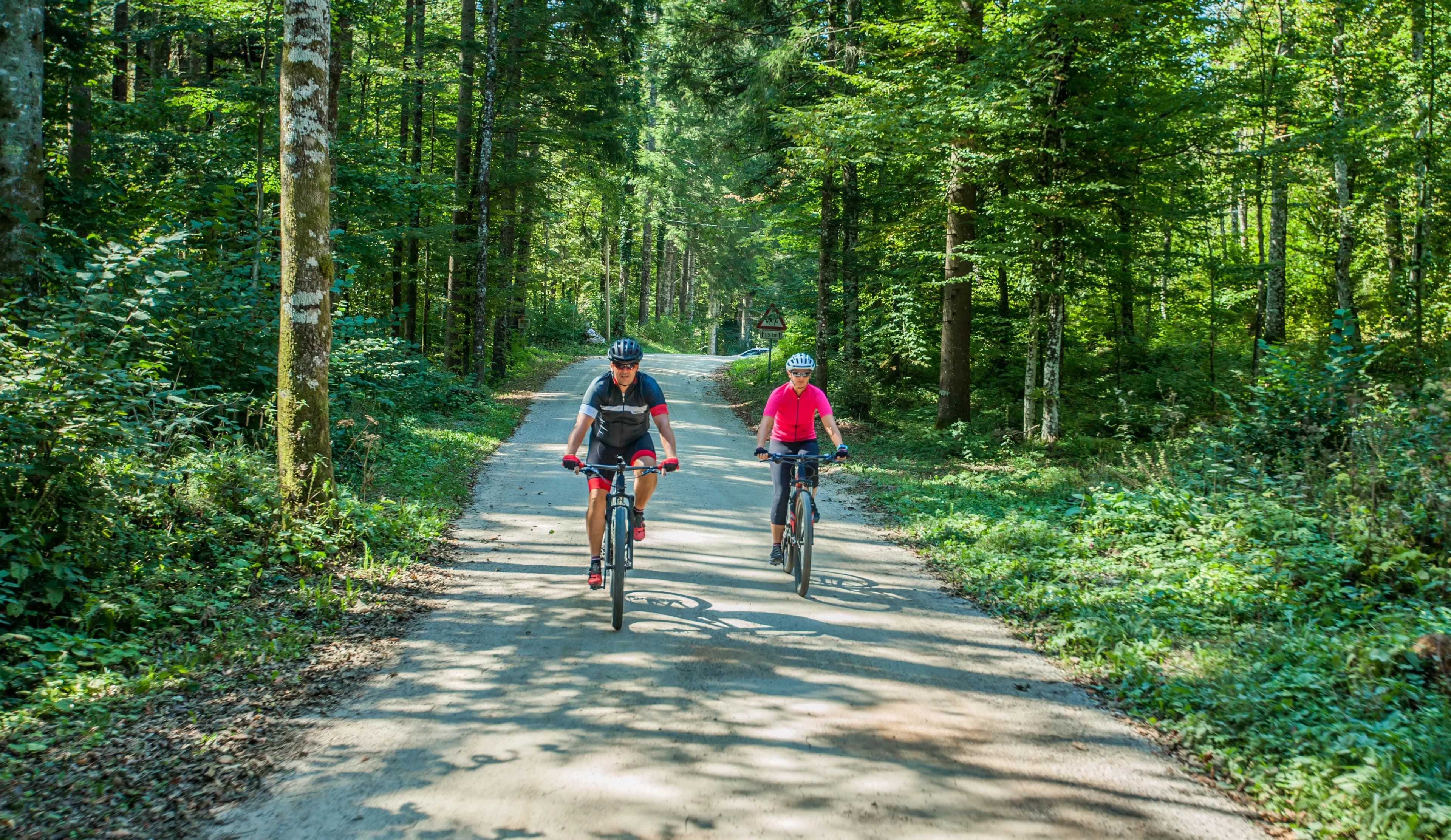 Vancouver Stanley Park Bike Tour